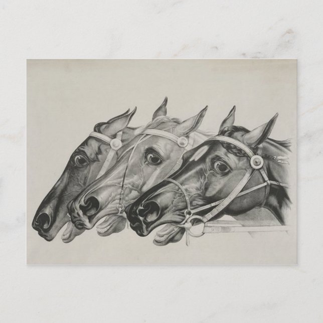 Currier & ives — Die Anführer Postkarte (Vorderseite)