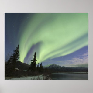 Curtains of green aurora borealis in the sky poster