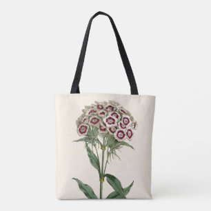 Curtis botanisch