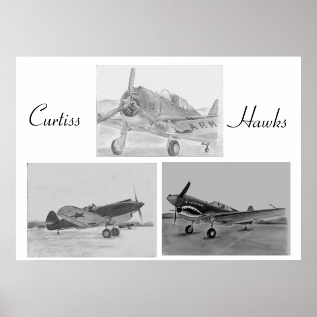 Curtiss Hawk Familienposter Poster (Vorne)