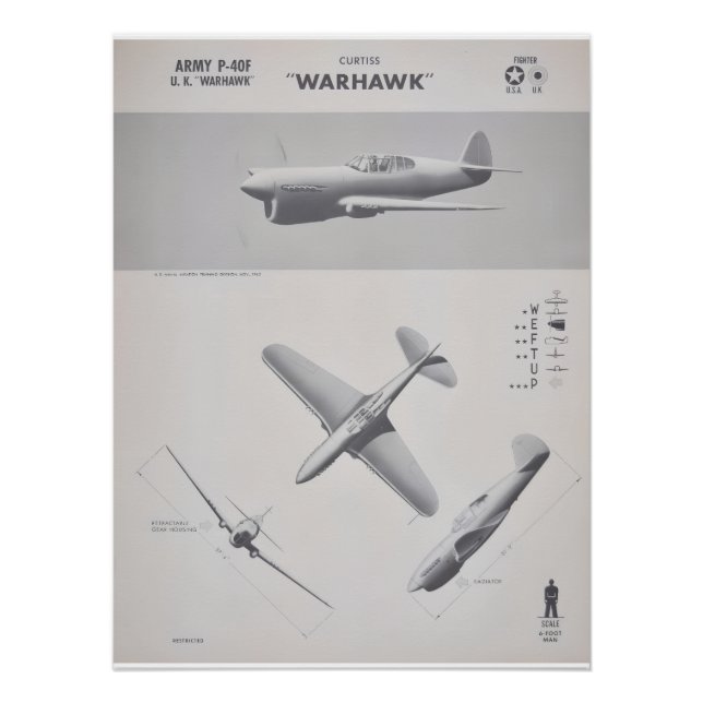 Curtiss P-40 Warhawk Recognition Poster (Vorderseite)
