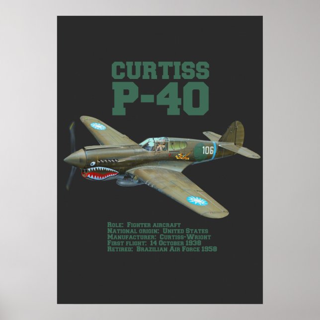 Curtiss P-40 Warhawk | WW2-Flugzeug Poster (Vorne)