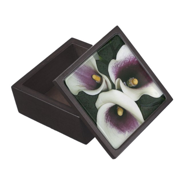 Curvy Callas Kiste (Geöffnet)