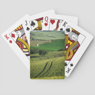 Curvy Linien in der grünen Toskana-Pokerplattform Spielkarten