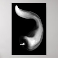 Curvy Pepper Nah Schwarzweißfotografie
