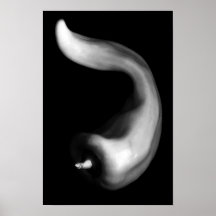 Curvy Pepper Nah Schwarzweißfotografie