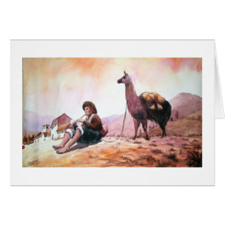 Cusco Peru Lama-Bild