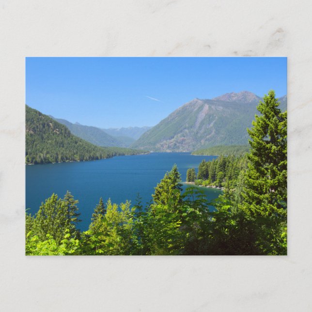 Cushman-See im Sommer Postkarte (Vorderseite)