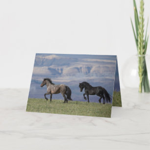 Custer and Galaxy - Wild Horse Greeting Card Karte