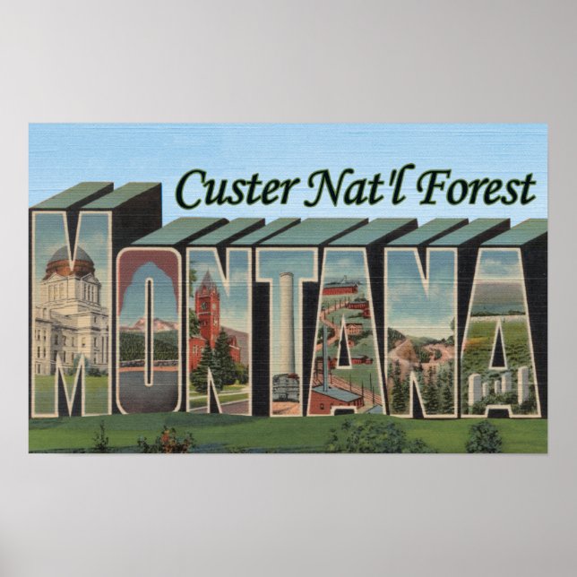 Custer Nat'l Forest, Montana Poster (Vorne)