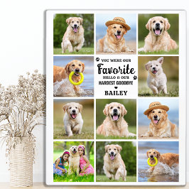 Custom 11 Foto Collage Beileid Pet Memorial Fotoplatte