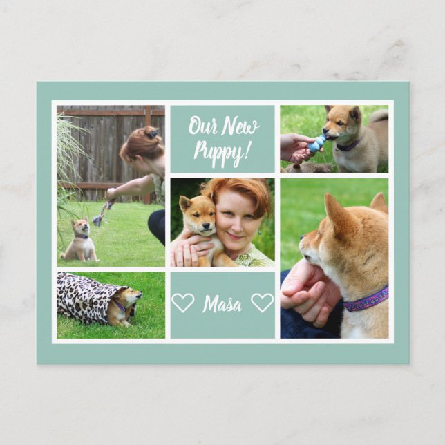 Custom 5 Foto Collage Family Pet Ankündigung Postkarte (Vorderseite)