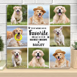 Custom 8 Foto Collage Pet Hund Verlust Erinnerung Fotoplatte<br><div class="desc">Feiern Sie Ihre beste Freundin mit einer individuellen Gedenktafel für Haustiere in einem modernen Design. Diese einmalige Foto-Gedenktafel ist das ideale Geschenk für sich, Familie oder Freunde, um die Liebsten zu ehren. Zitat " Du warst mein Lieblings-Hallo und mein schwerster Abschied". Wenn Sie eine Fülle von wertvollen Erinnerungen haben und...</div>