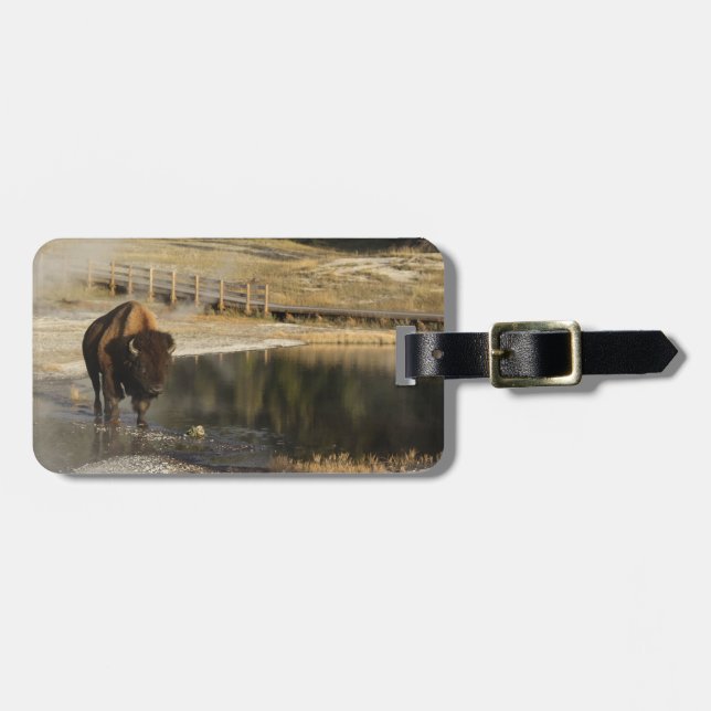 Custom American Bison Yellowstone Wildlife Foto Gepäckanhänger (Vorderseite horizontal)
