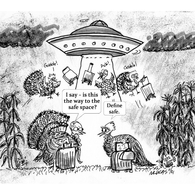 Custom apron design with a house schürze (Published cartoon for the Charleston Mercury)