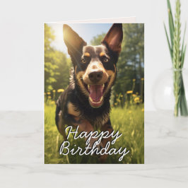 Custom Australian Kelpie Happy Birthday Card Dankeskarte