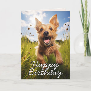 Custom Australian Terrier Happy Birthday Card Dankeskarte