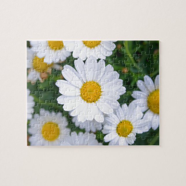Custom Beautiful Spring Flowers - Daisy Puzzle (Horizontal)