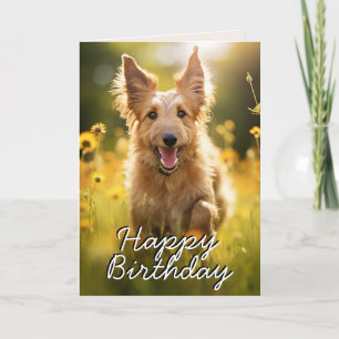 Custom Berger Picard Happy Birthday Card Dankeskarte