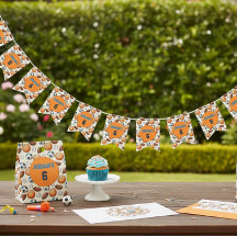 Custom Birthday Sports Theme