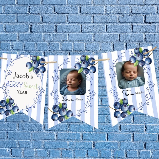 Custom Blueberry 1. Geburtstag 12 Foto Wimpelkette (Berry Sweet Book Request boy Enclosure Card)