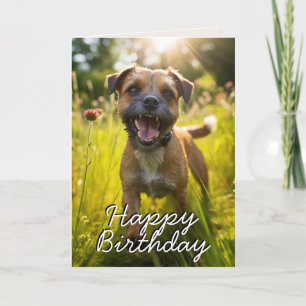 Custom Border Terrier Happy Birthday Card Dankeskarte