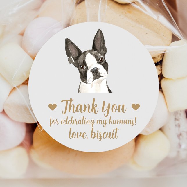 Custom Boston Terrier Dog Gastgeschenk Hochzeit St Runder Aufkleber (Von Creator hochgeladen)