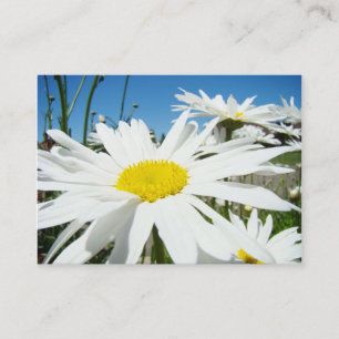 Custom Business Card White Daisy Flower Garden Visitenkarte