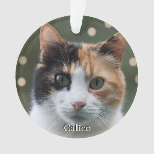 Custom Calico Cat Foto Personalisiert Ornament