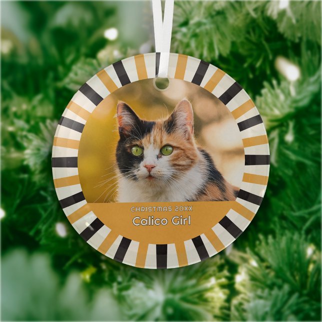 Custom Calico Cat Photo Ornament Aus Glas (Von Creator hochgeladen)