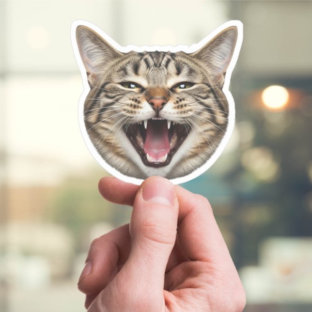Custom Cat Face Sticker - Funny Personalisiertes F (Von Creator hochgeladen)