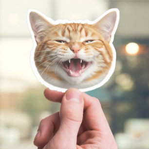 Custom Cat Face Sticker - Personalisiertes Pet-Fot