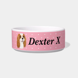 Custom Cavalier King Charles Spaniel     Napf