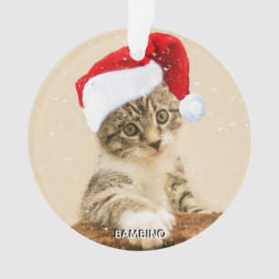 Custom Christmas Carol Cat Foto Personalisiert Ornament