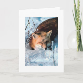 Custom Christmas Gruß Snow Fox Urlaubskarte Feiertagskarte