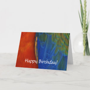 Custom Colorful Macaw Parrot Feather Geburtstag Karte