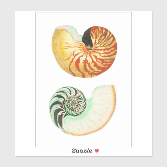 CUSTOM CUT VINYL STICKER : NAUTILUS (Blatt)