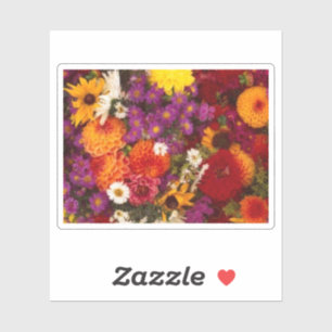 Custom-Cut Vinyl Stickera Aufkleber