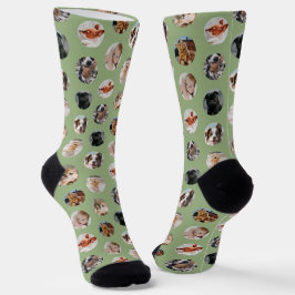 Custom Cute 8-Photo Pet Collage | Sage Green Socken