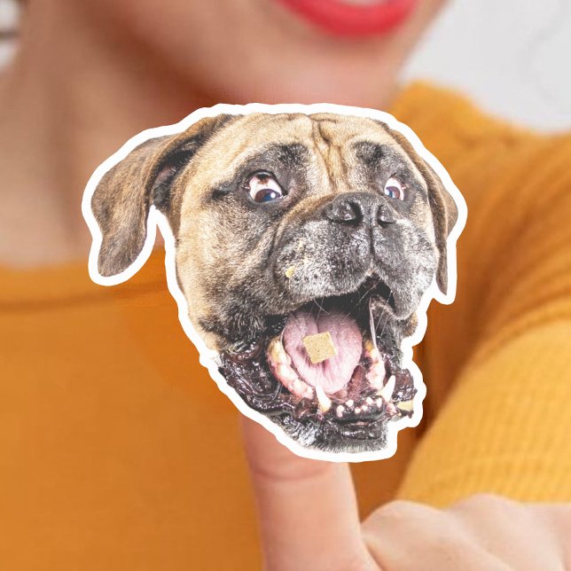 Custom Dog Face Vinyl Stickers Aufkleber (Von Creator hochgeladen)