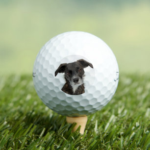 Custom Dog Foto Moderner Personalisierter Golfball