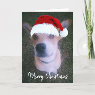 Custom Dog Foto Niedlich Red Christmas Feiertagskarte