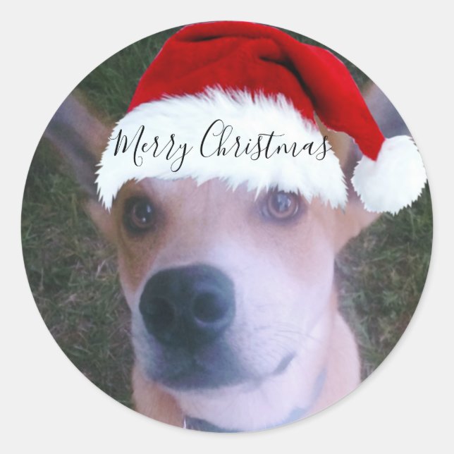 Custom Dog Foto Weihnachten Runder Aufkleber (Vorderseite)