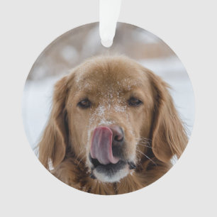 Custom Dog Holiday Ornament   Haustiere   Welpe