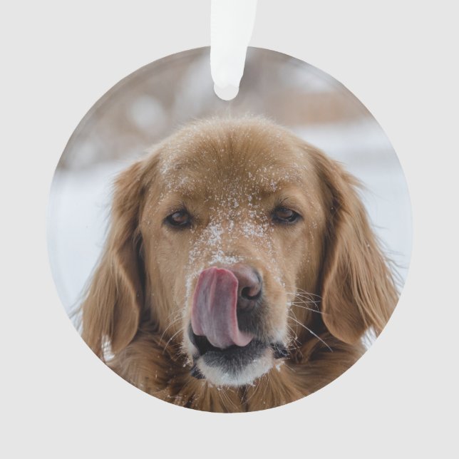Custom Dog Holiday Ornament | Haustiere | Welpe (Vorderseite)