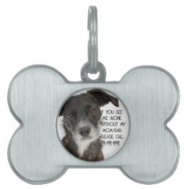 Custom Dog ID Tag Plate for Collars, Foto Dog Tag Tiermarke