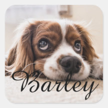 Custom Dog Name Design – Personalized Dog Lover Gi