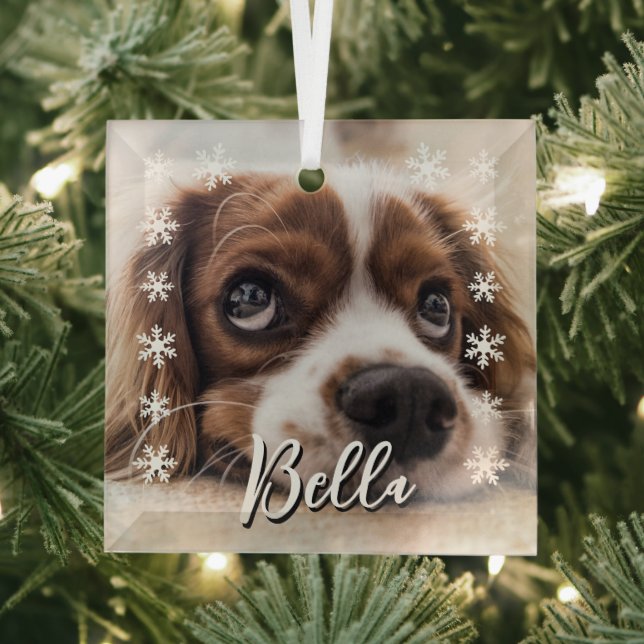 Custom Dog Name Foto Schneeflocken Weihnachten Ornament Aus Glas (Insitu)