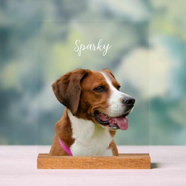 Custom Dog Name Photo Memorial Portrait Acrylschild (Neutral)