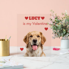 Custom Dog Photo Acrylic Sign Acrylschild